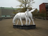 Foto  035